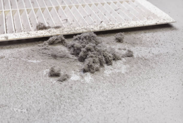 Best Affordable Duct Cleaning Services  in Panama, OK